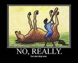 dead horse