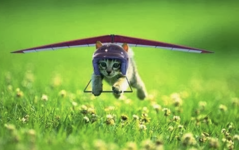 Hangglider